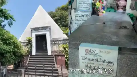 最大活死人墓曝光